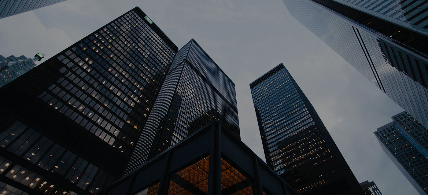 面向政府和金融行业用户提供整体信息化解决计划和集成服务