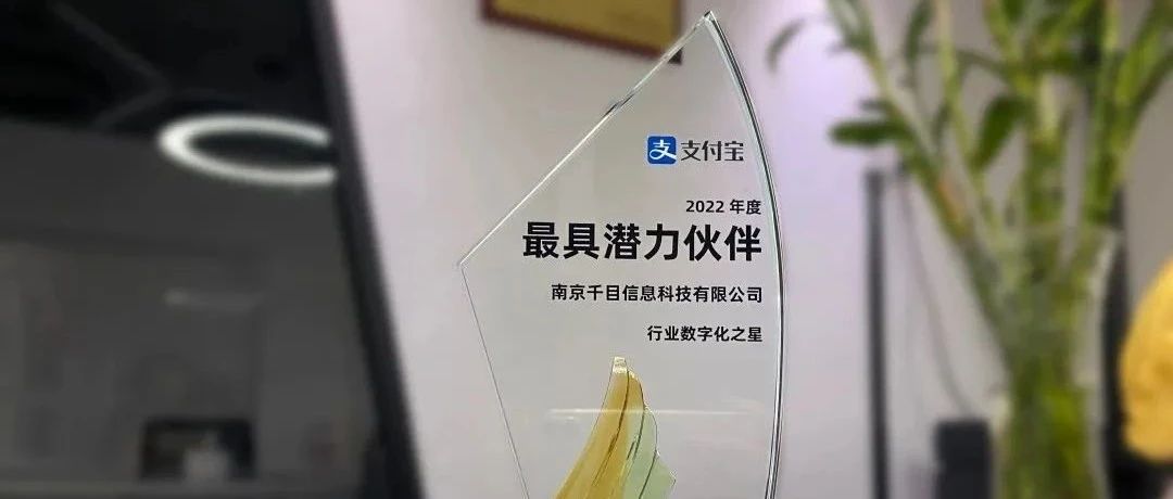 支付宝年度「最具潜力同伴」，，，，，，能为阛阓运营带来什么转变？？？？？？